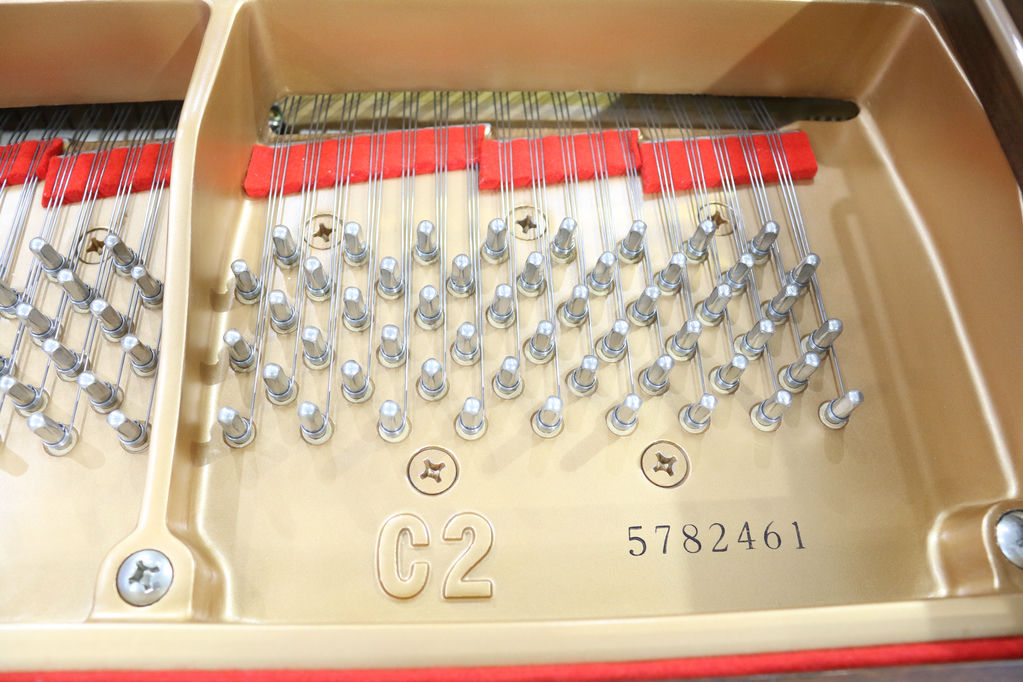 YAMAHA C2CHIP No.5782461