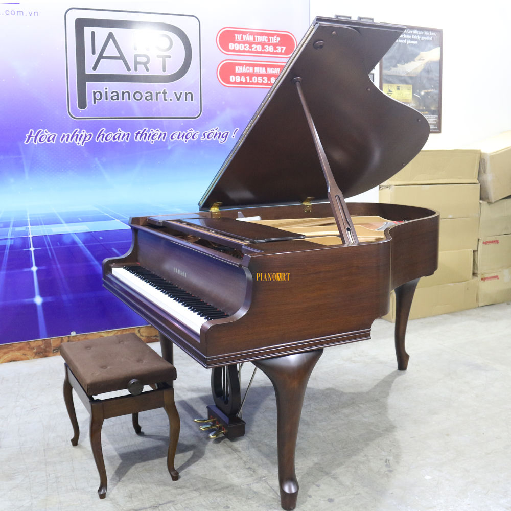 YAMAHA C2CHIP No.5782461