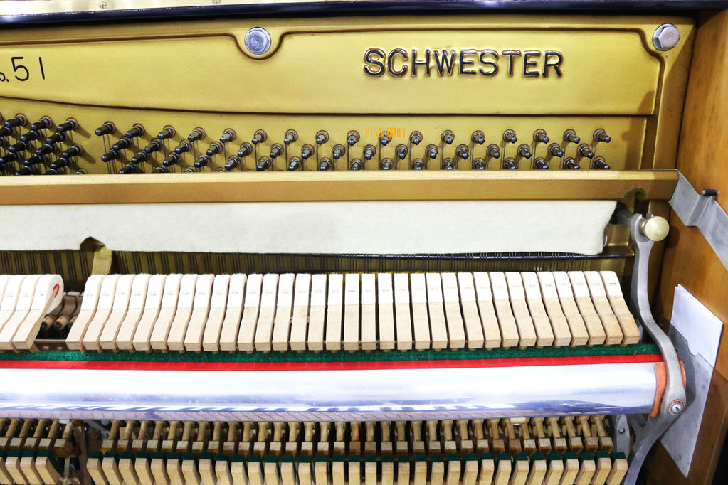 SCHWESTER 51 No.429692